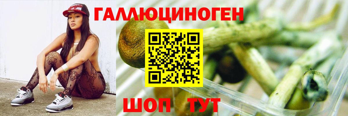 Галлюциногенные грибы ЛСД  Псилоцибиновые грибы MAGIC MUSHROOMS  Вход с VPN  Нерюнгри 